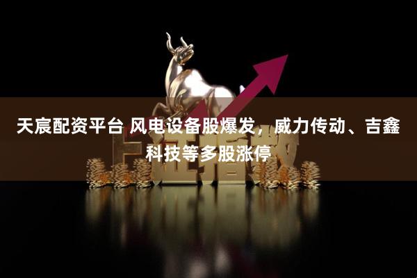 天宸配资平台 风电设备股爆发，威力传动、吉鑫科技等多股涨停