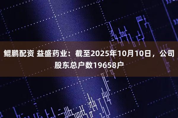 鲲鹏配资 益盛药业：截至2025年10月10日，公司股东总户数19658户