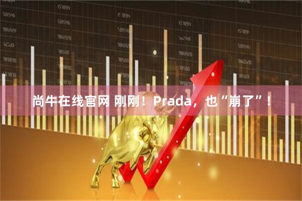 尚牛在线官网 刚刚！Prada，也“崩了”！
