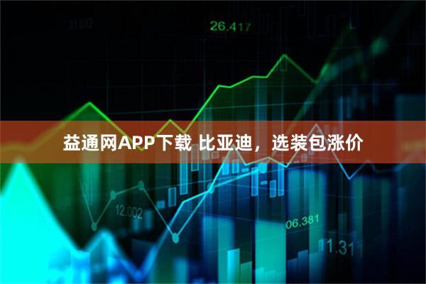 益通网APP下载 比亚迪，选装包涨价